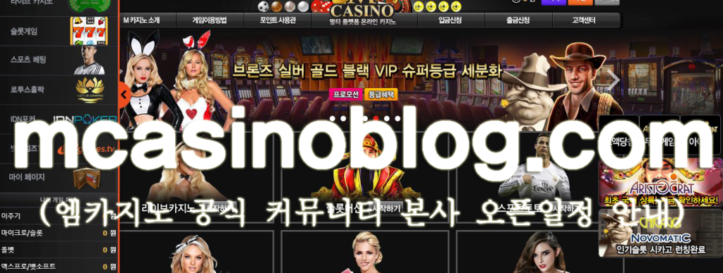 M카지노 본사 회원가입 오픈일정