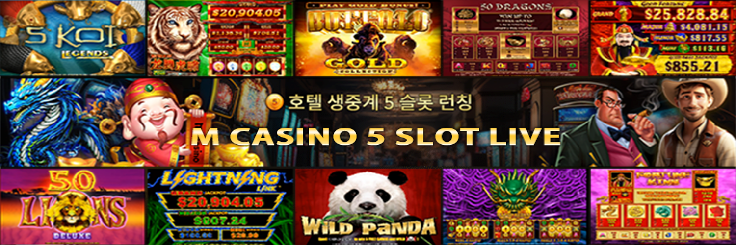 m카지노