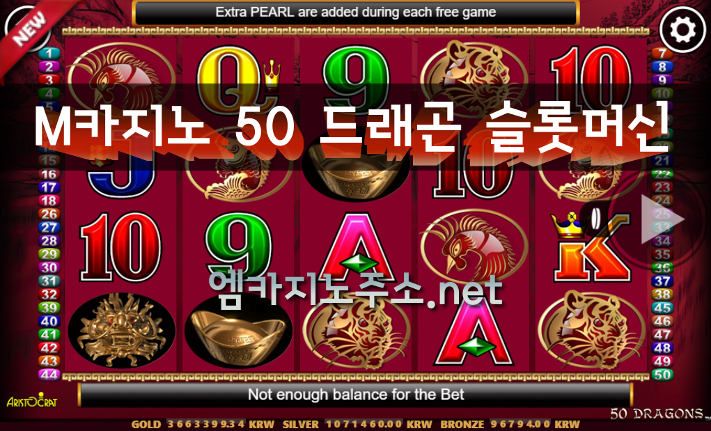 M카지노 50 드래곤 슬롯머신